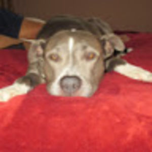 Meet your Posher, Venus